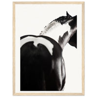 39b4b543-57a7-4136-b929-3772d6791e0a