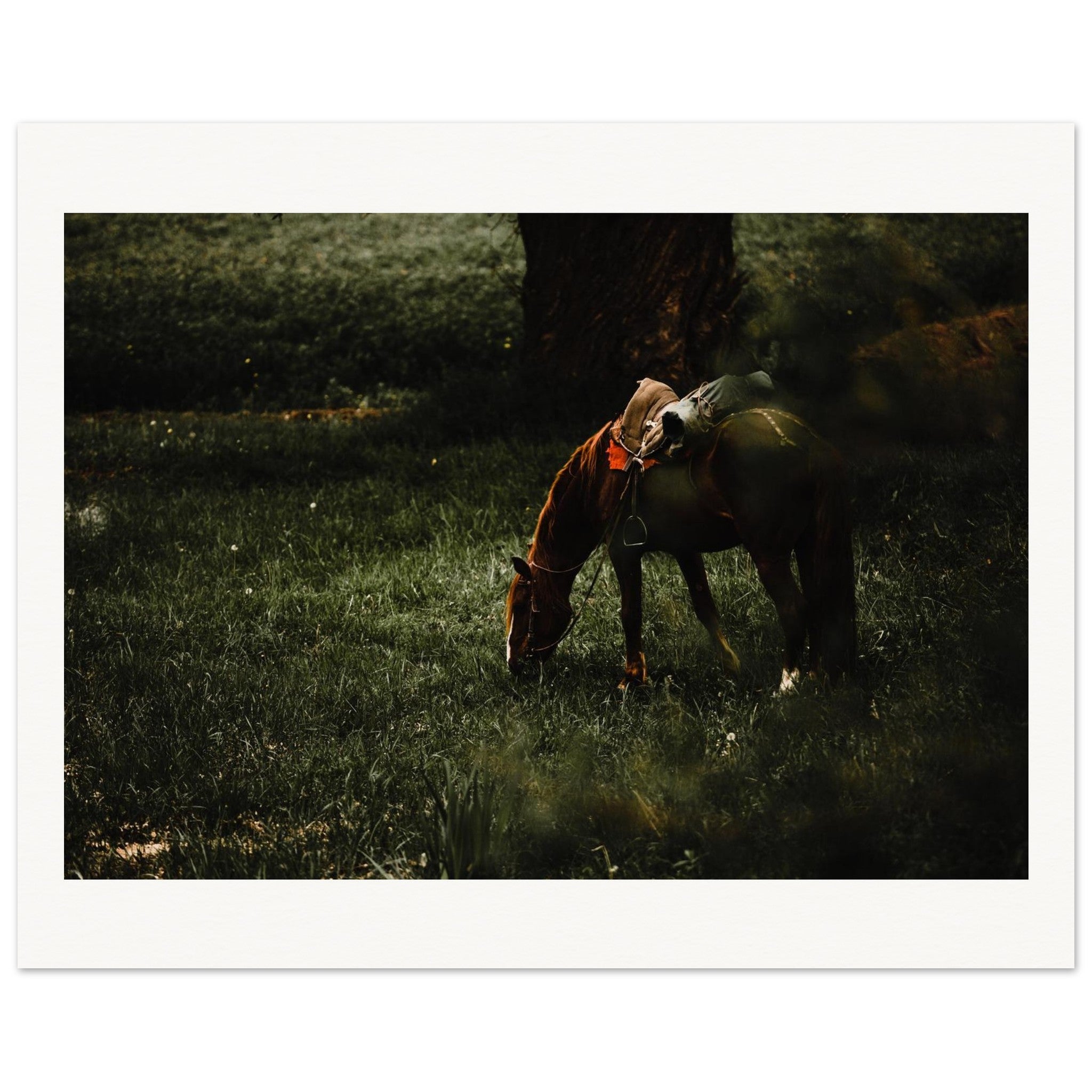 39c5d9aa-87e0-4dd8-be4f-48b130fbe0c3