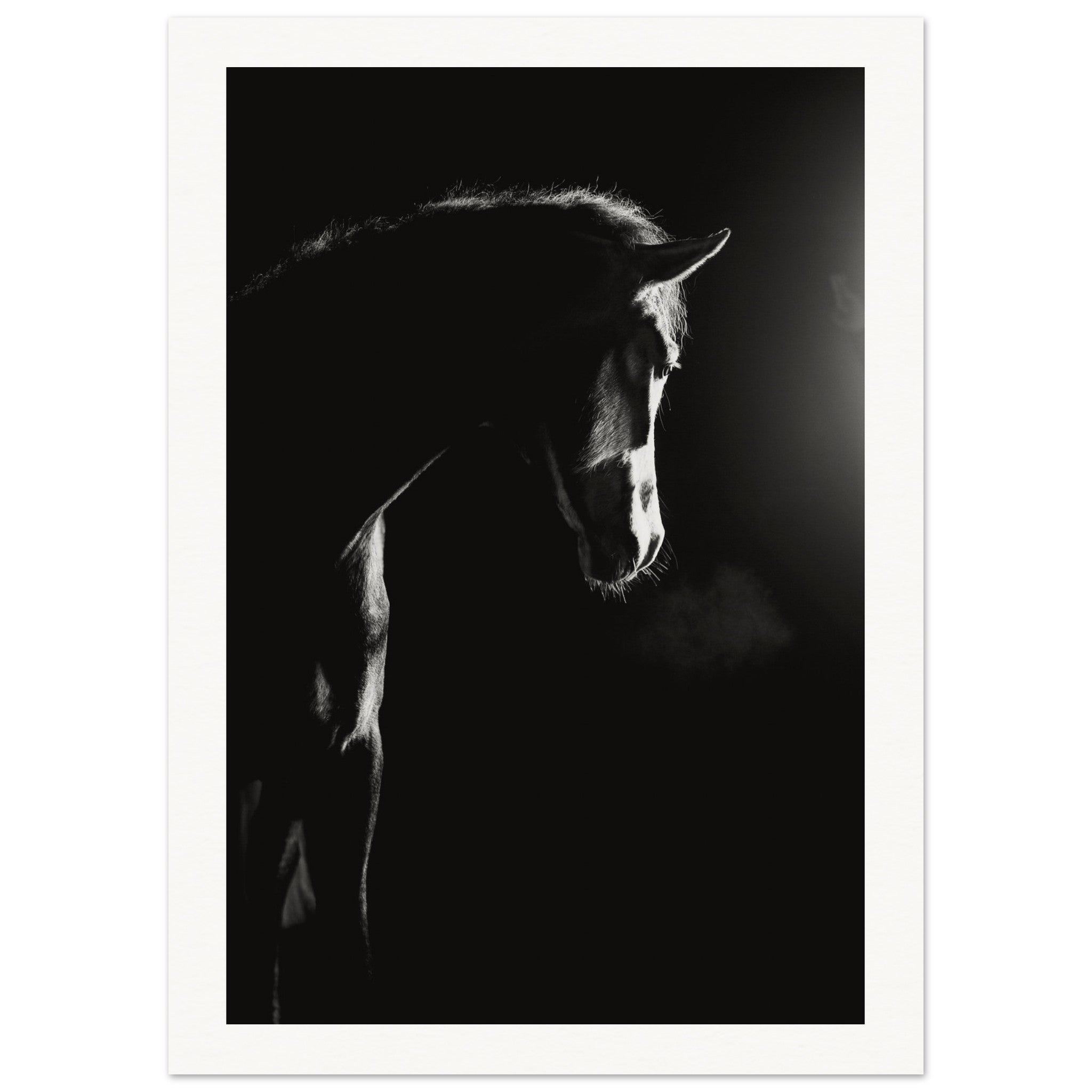 39e73665-9b9e-48af-8904-a897da72ea19