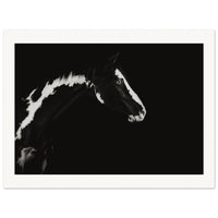 39e9388d-d1d2-4a80-b446-54d3f60b8cd3