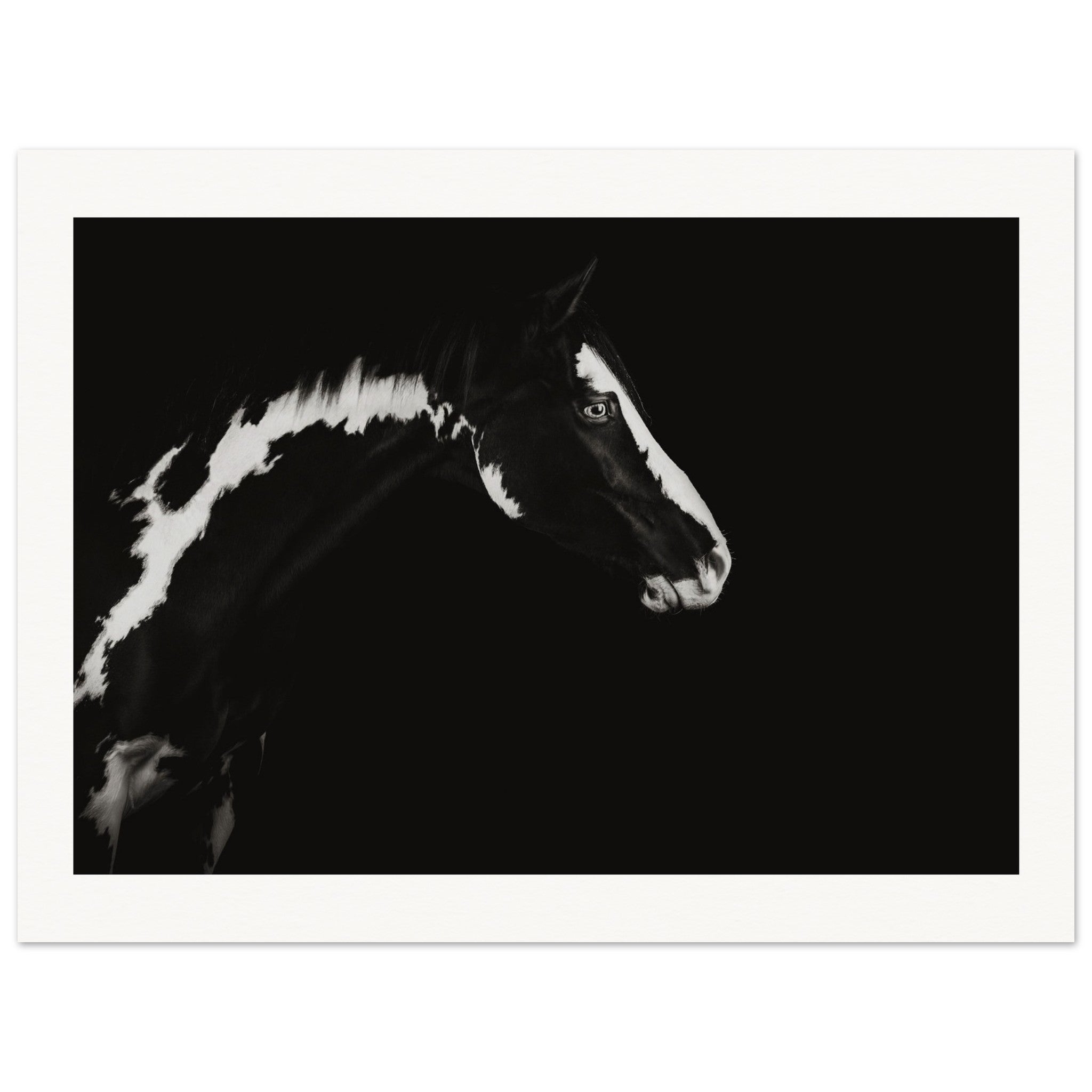 39e9388d-d1d2-4a80-b446-54d3f60b8cd3