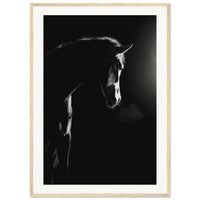 3a53f9f1-c9cd-4f57-92a1-b40bf50868b7