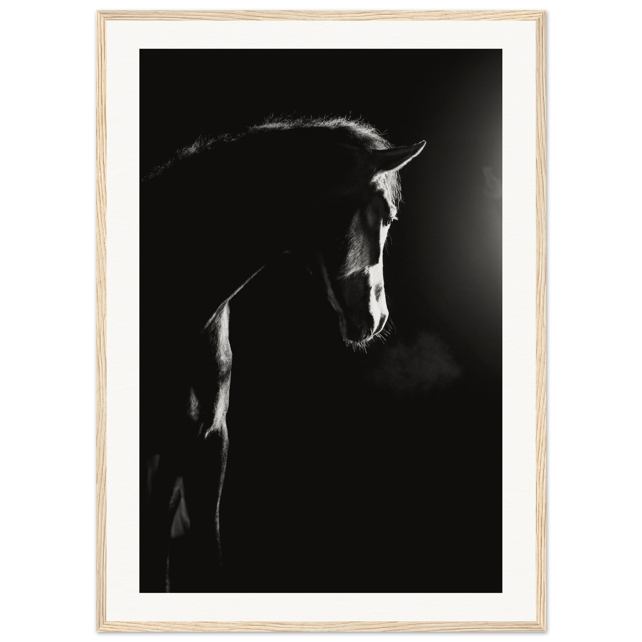 3a53f9f1-c9cd-4f57-92a1-b40bf50868b7