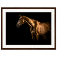 3a6b4da0-7b92-4d8e-a5e9-11b8016136a2