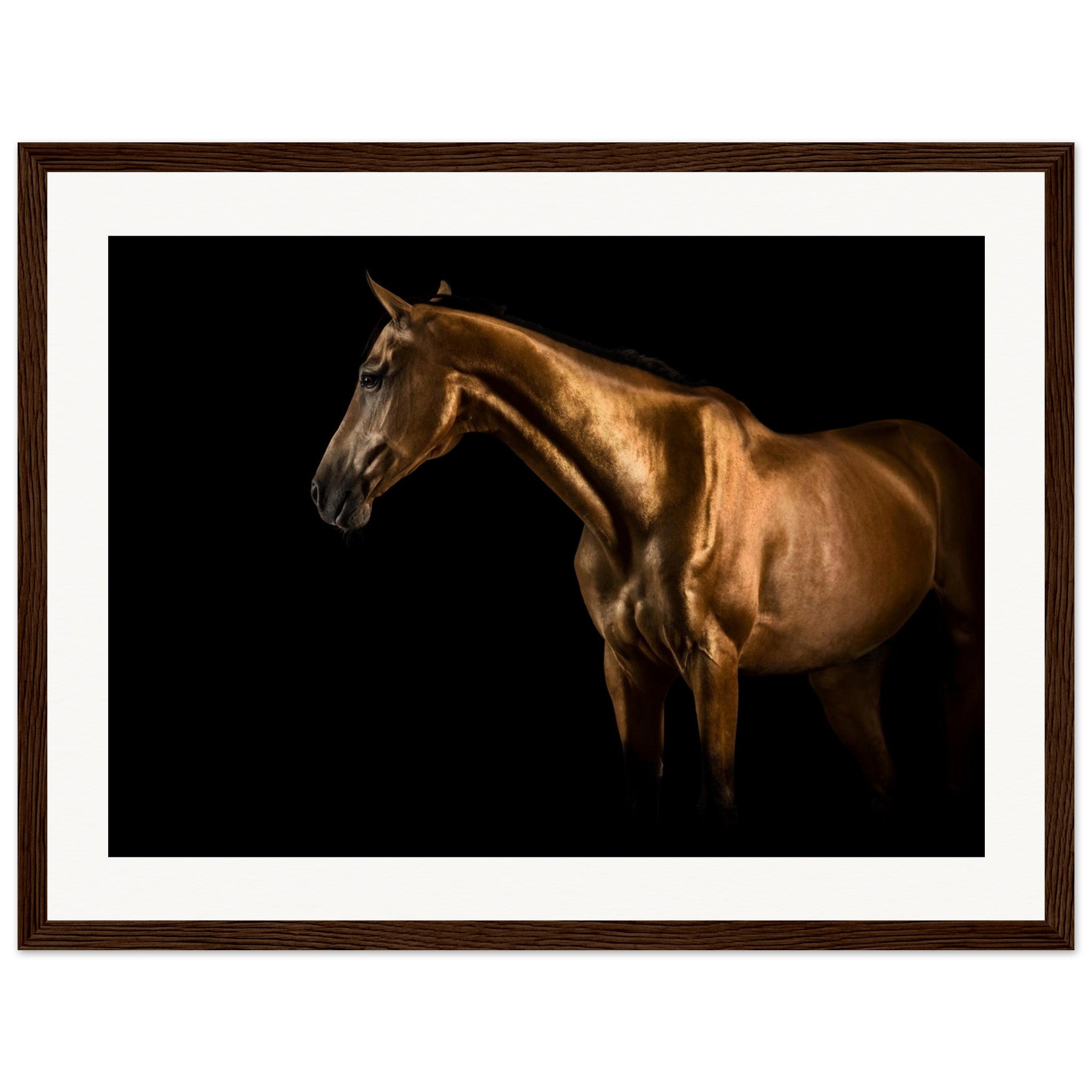 3a6b4da0-7b92-4d8e-a5e9-11b8016136a2