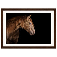 3ad21443-7aea-47ac-b843-969c55761e7d