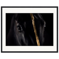 3b2a290a-bee0-4ac4-ad77-ae1cb9c7058b