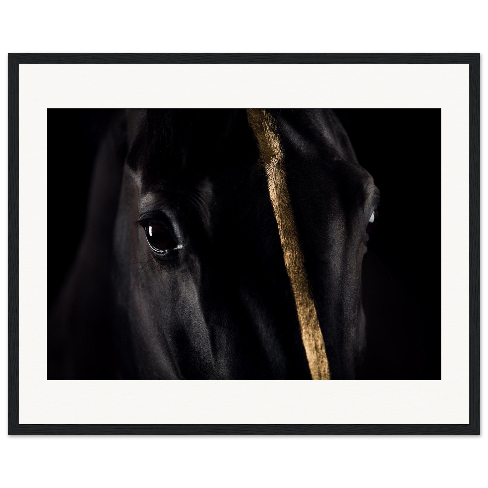 3b2a290a-bee0-4ac4-ad77-ae1cb9c7058b