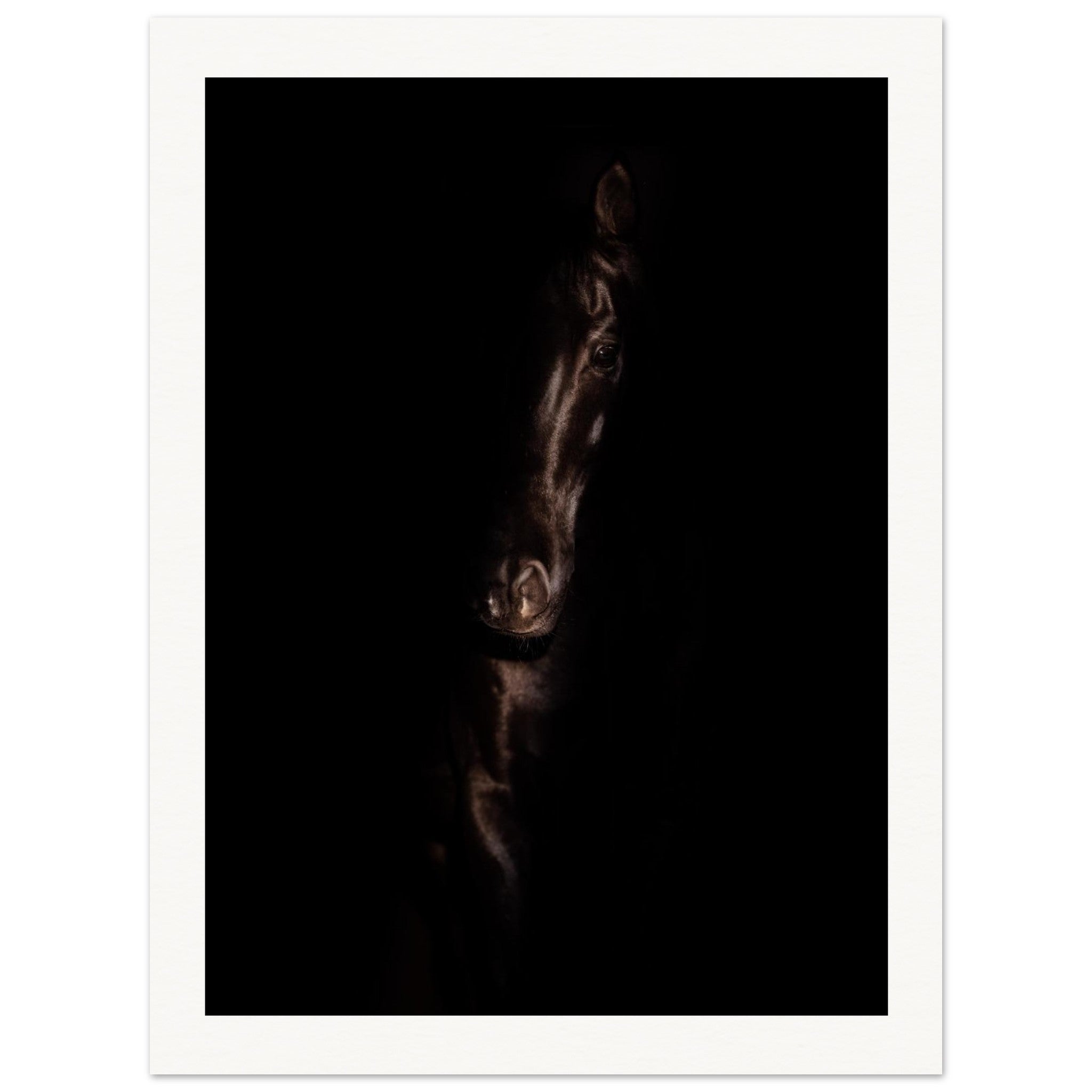 3b4b3928-81c1-4269-872e-c2ac181389ba