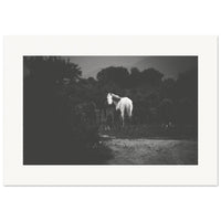 3b54465f-f259-4082-bfe1-75ee1066e5e5