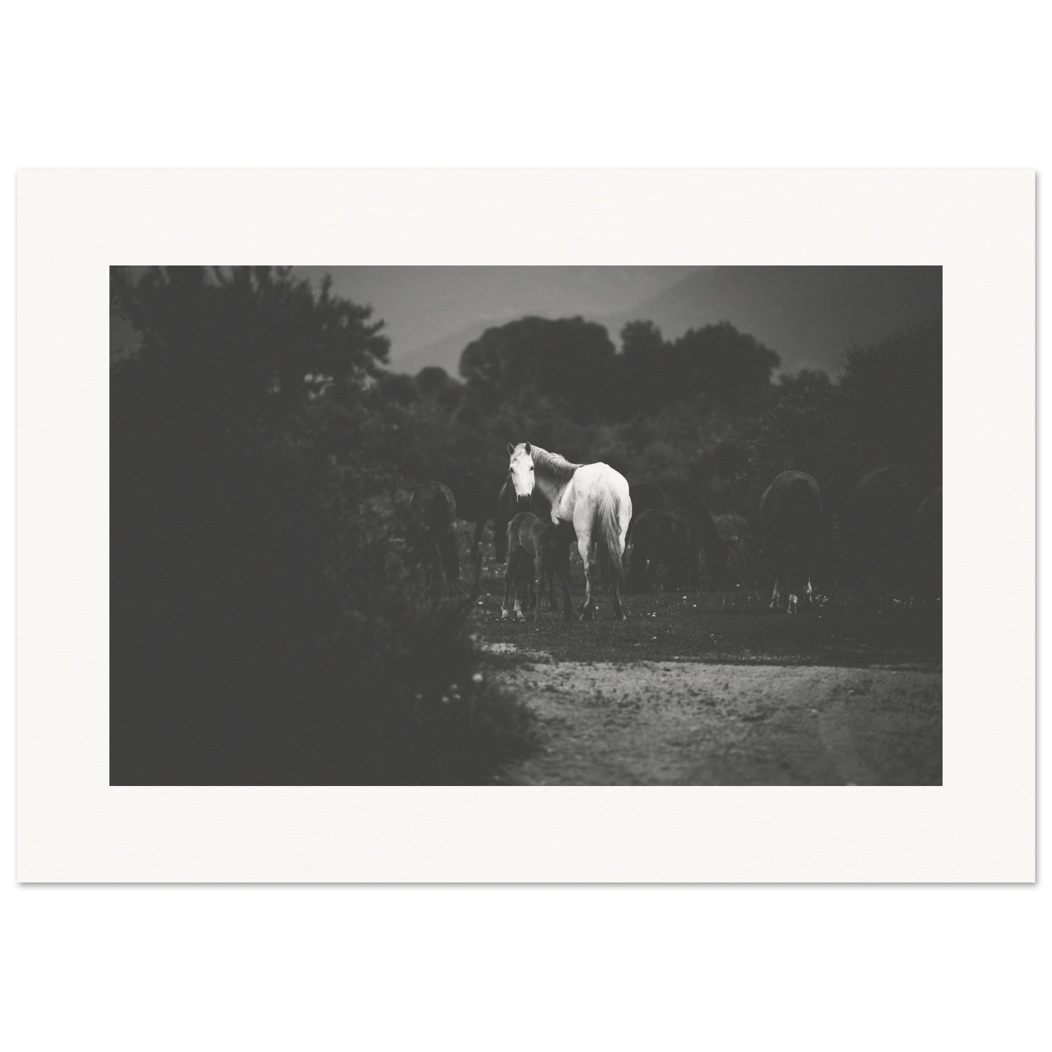 3b54465f-f259-4082-bfe1-75ee1066e5e5