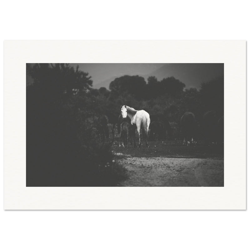 3b54465f-f259-4082-bfe1-75ee1066e5e5