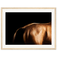 3b67e302-fa9b-4705-900d-d34505b5c5d4