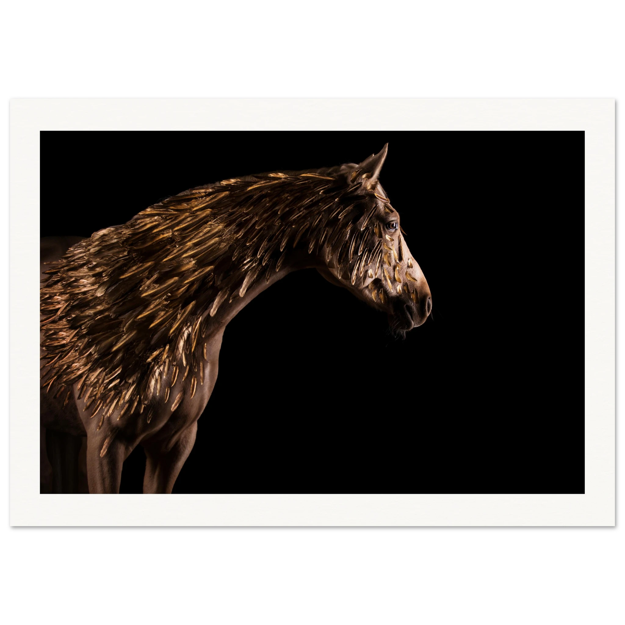 3b7ebb8c-bf80-45a1-8123-7baf8f783694