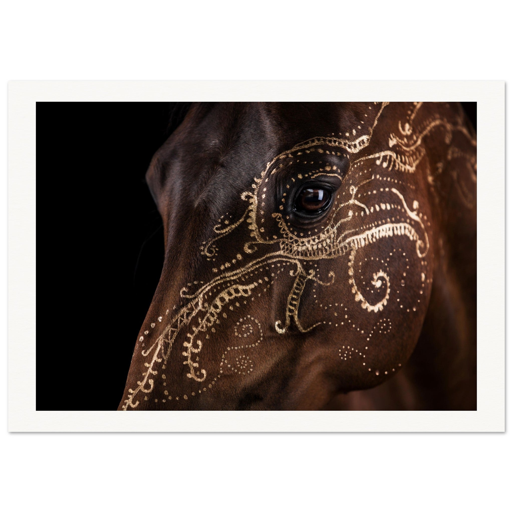 3b87f985-8985-4e77-9eb1-c4e0e5f91e69