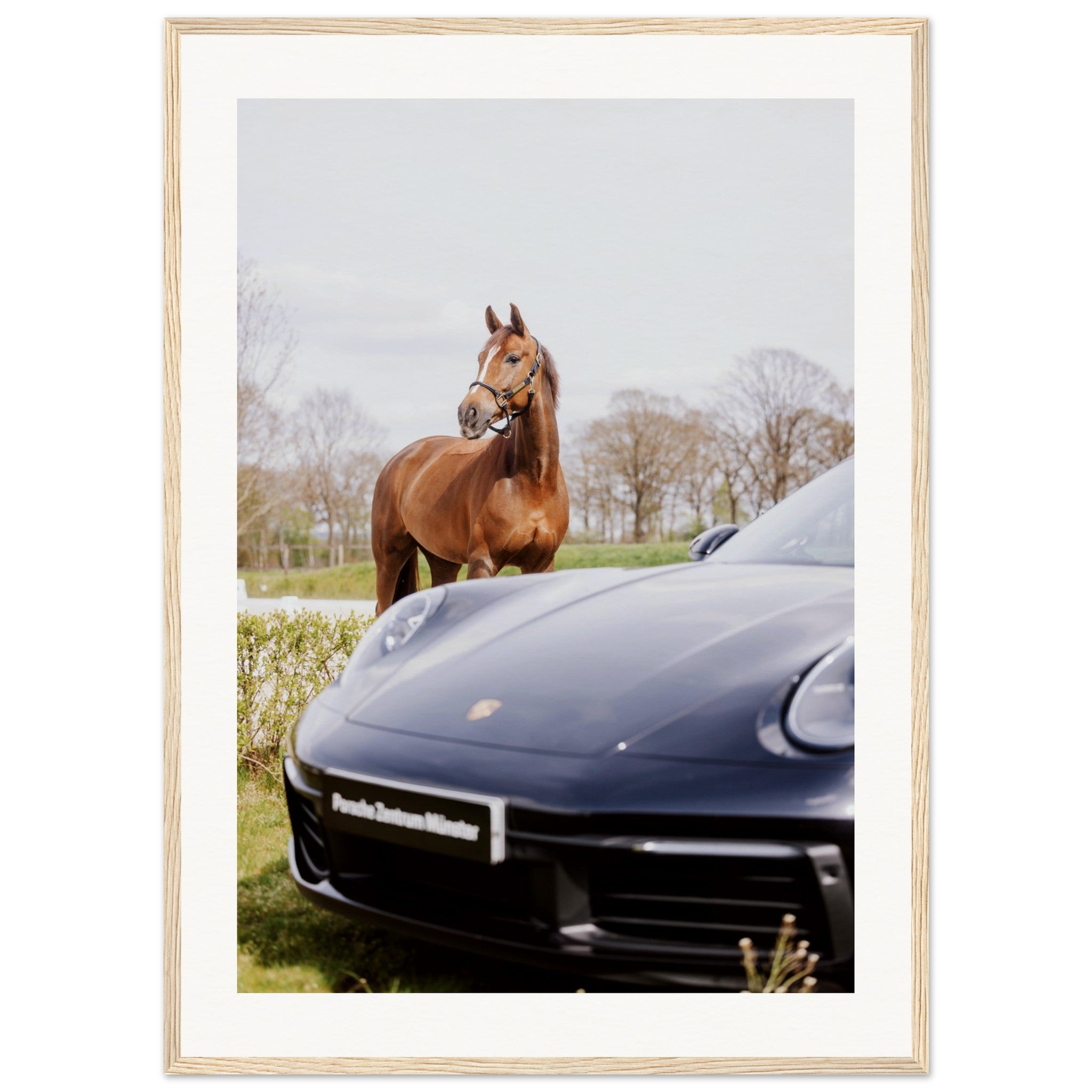 3b99f8a6-ecf4-490f-b387-f99bcee42f87