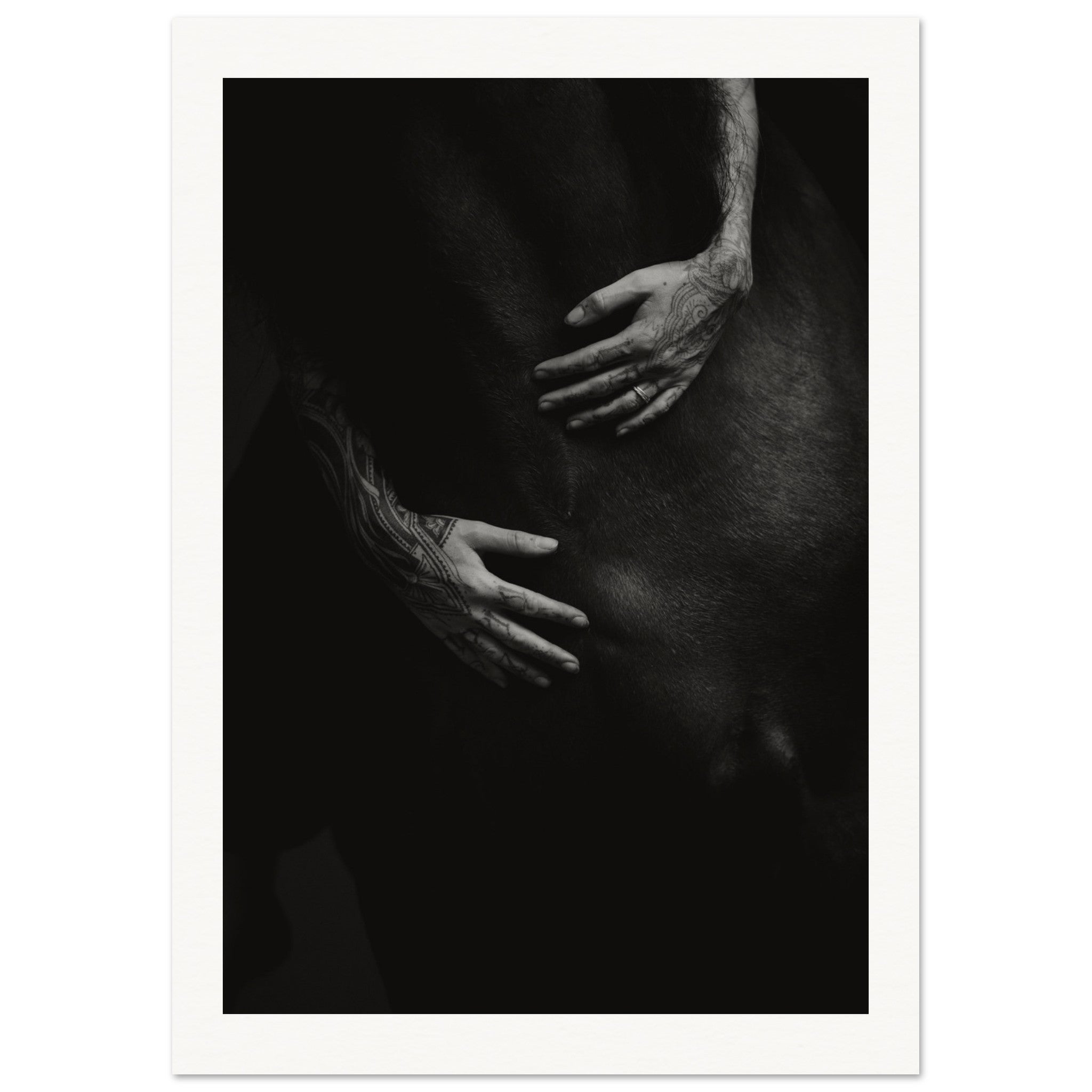 3badcd45-dac2-493a-b32e-b79e483c8c87