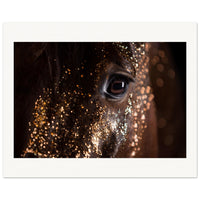 3c46f194-76c0-467d-a9f4-b039f762e1f8