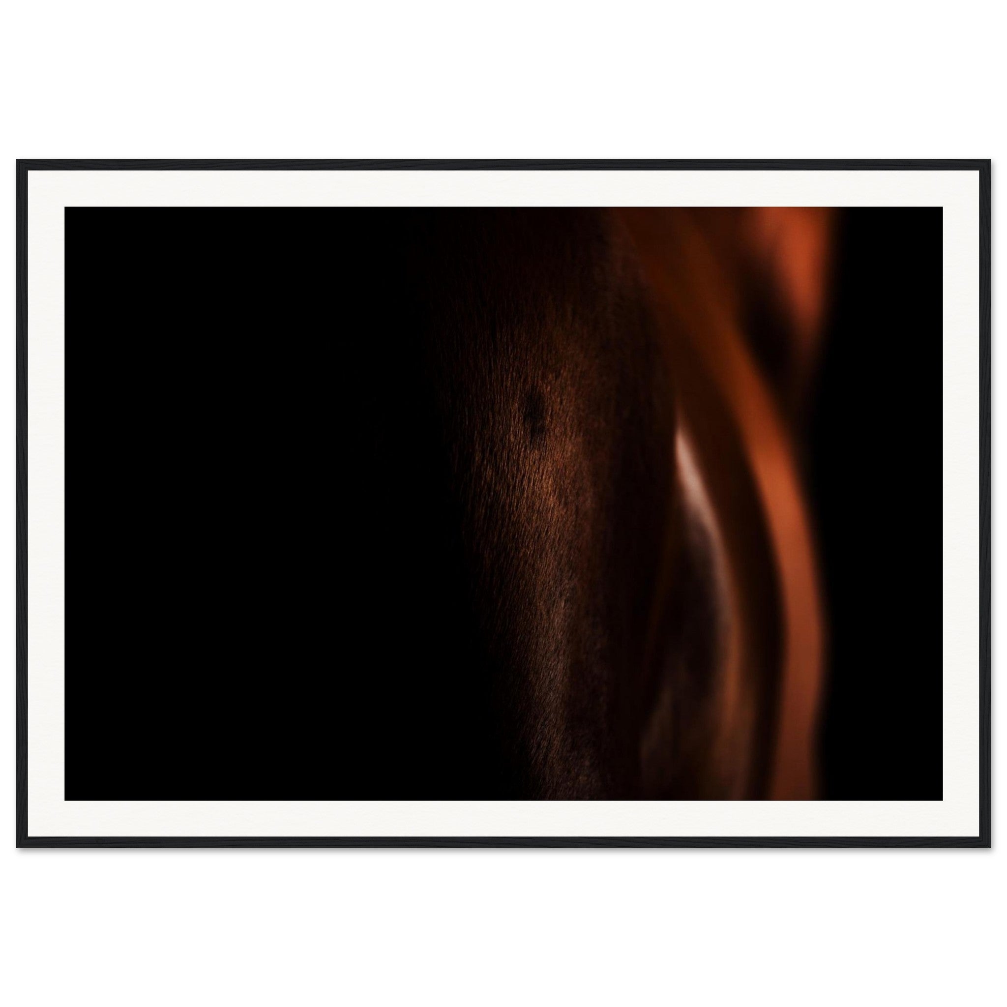 3c6d627d-27d3-4904-82b9-41f92e2b9421