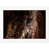 3c7ca59c-e5bd-4912-9c30-6fc5afcb2655