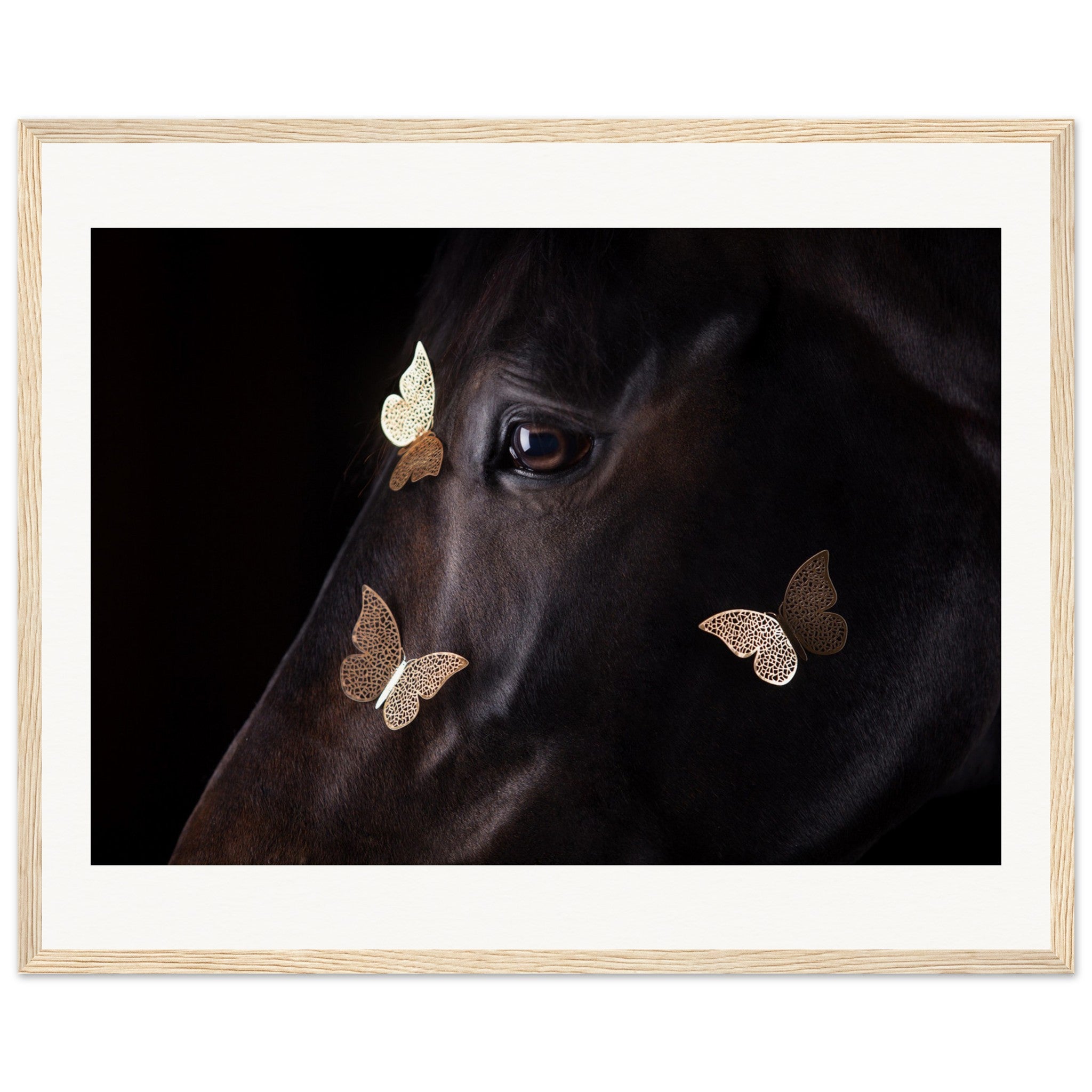 3c92e286-669f-4b31-ab56-1ef155699577