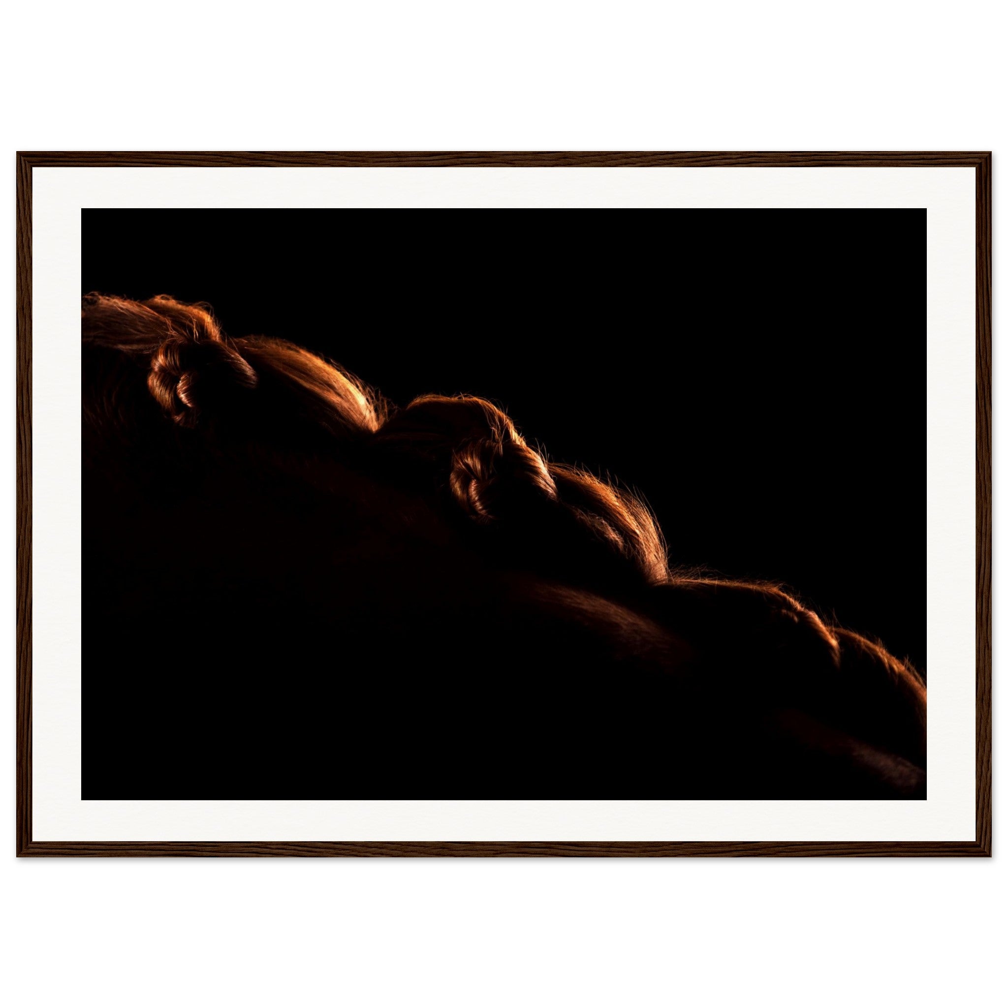 3c9d267a-88d1-4ad7-9d19-23af712ae9c1