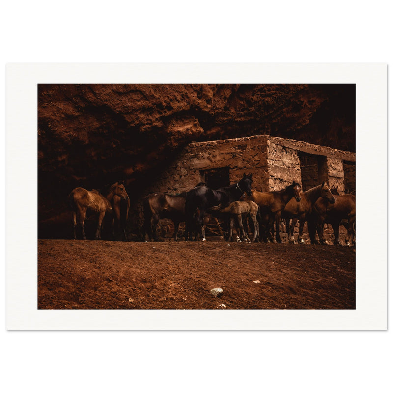 3cdb9f86-d7dd-4b85-9fc1-d03fa159deb4