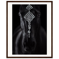 3cdf12cf-f36b-4f52-8238-763845d7756f