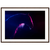 3cfd07d4-a5d0-4a76-acc6-366de1ce1216