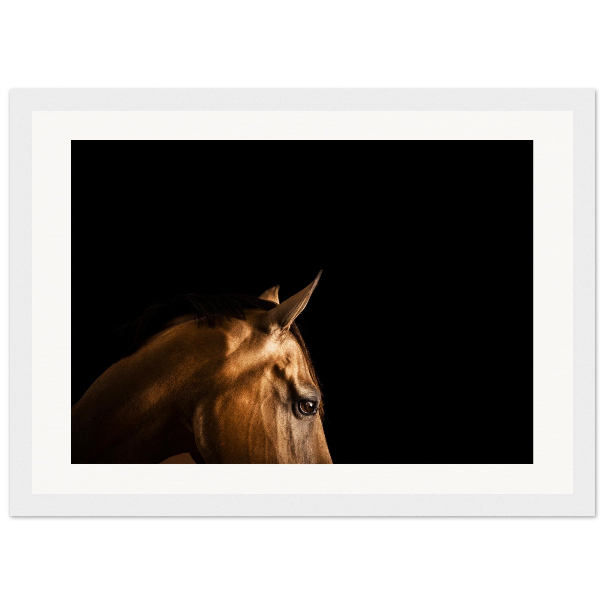 3d072f04-1f20-467a-9a87-5f05310d223e