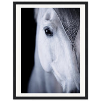 3d15b03a-70a3-48a0-93ed-d5271d72074e