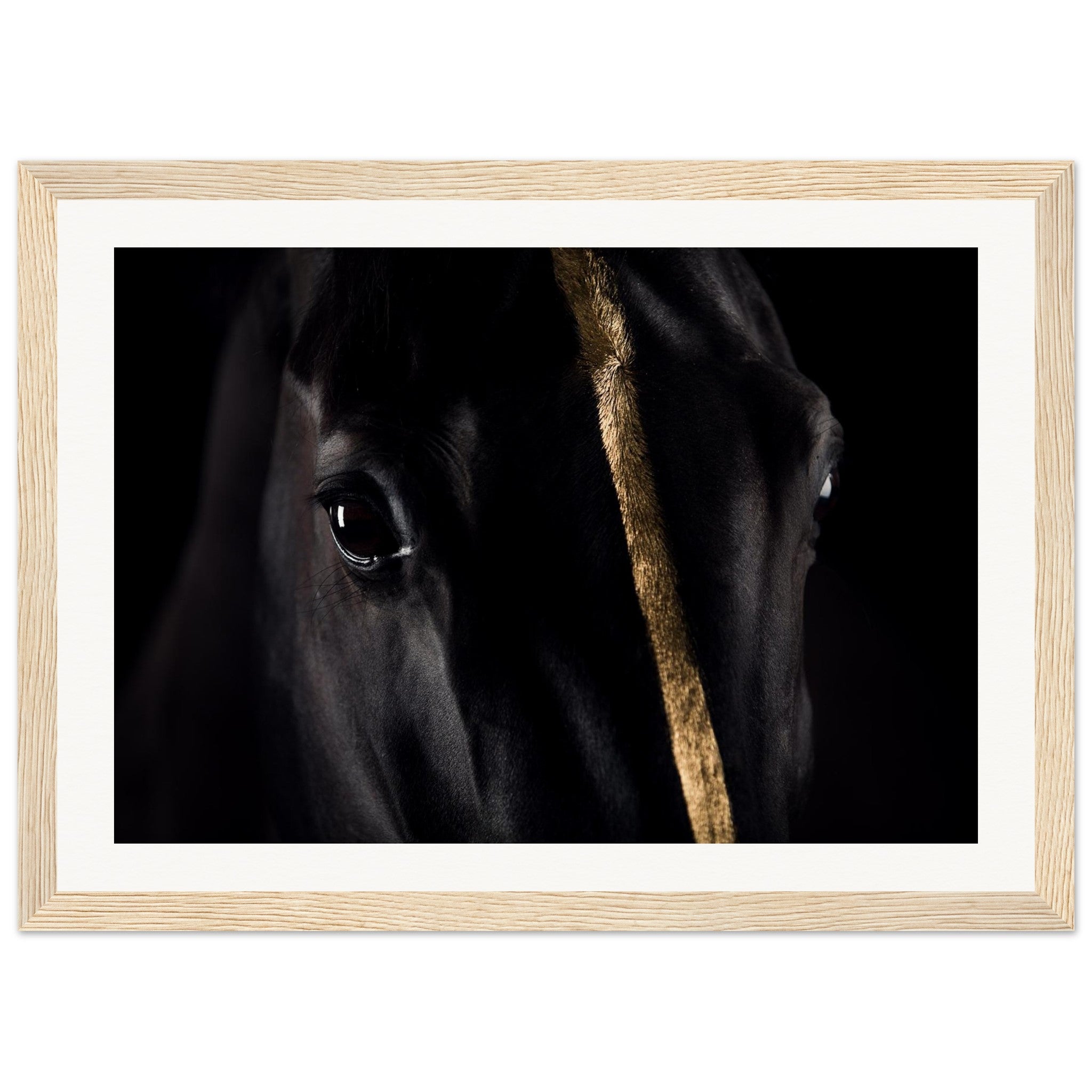 3d2eb411-af82-42df-ab57-cd645e8d1fbc