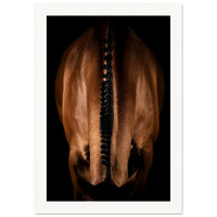 3d650358-1cf0-4fec-be10-3db7cfb80d45