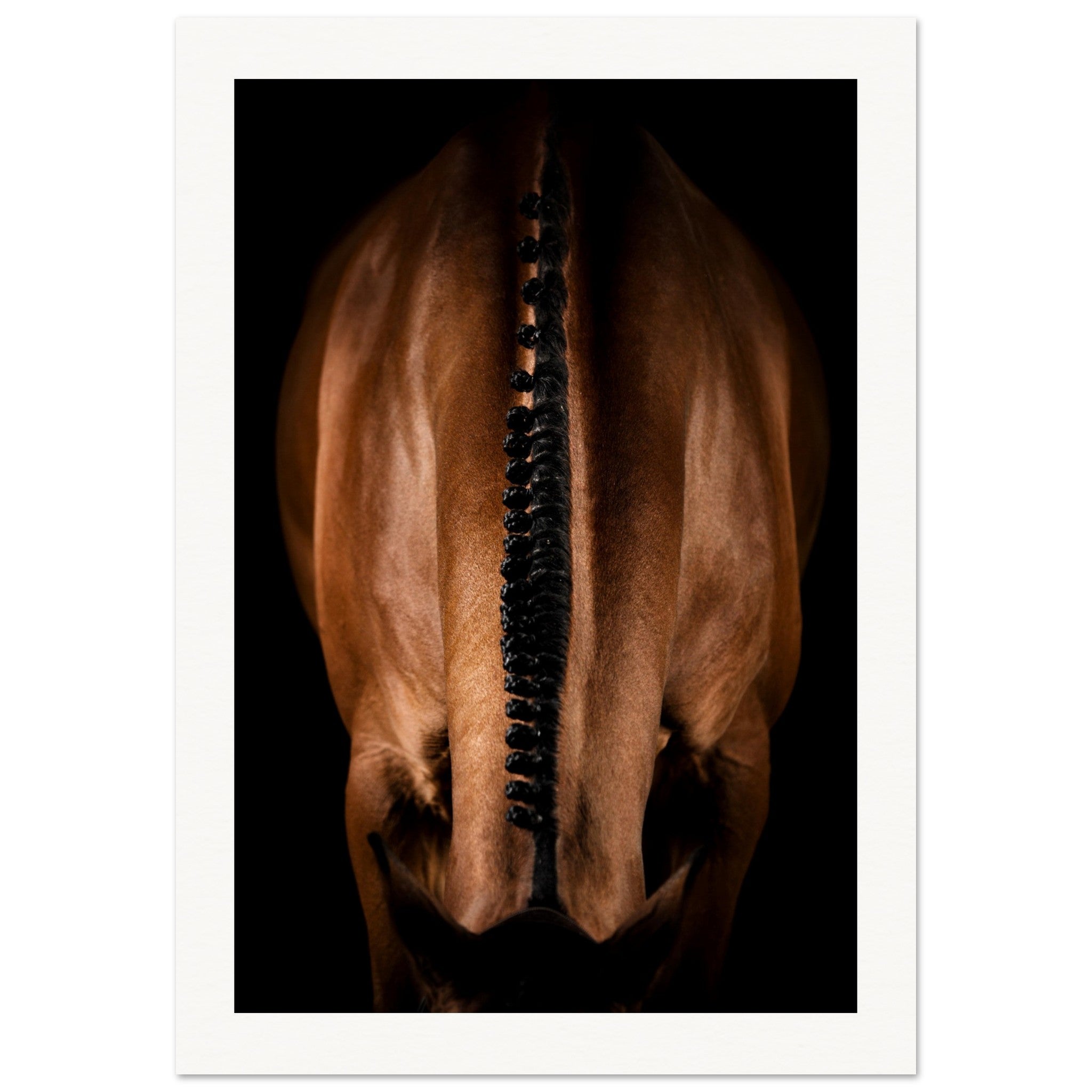 3d650358-1cf0-4fec-be10-3db7cfb80d45