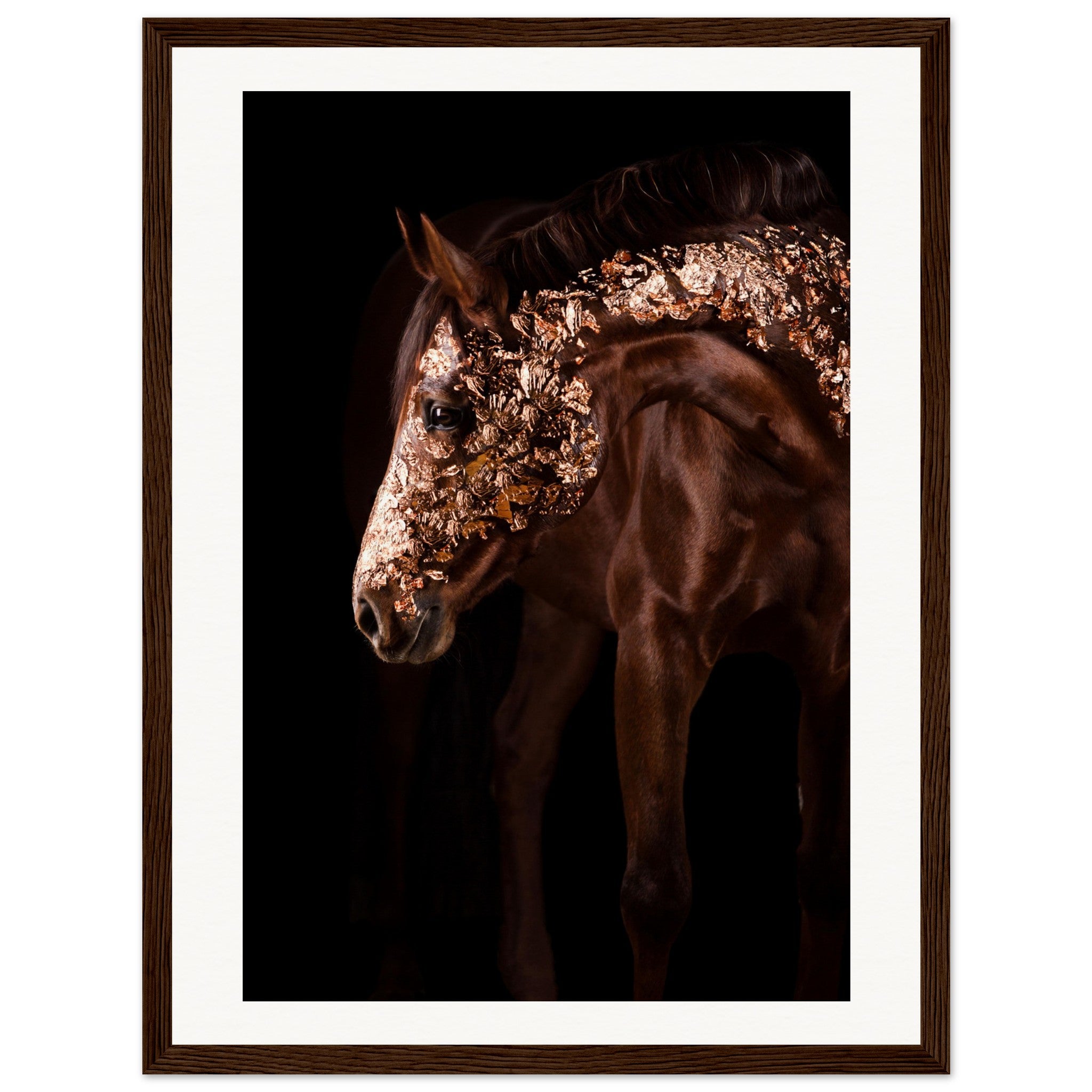 3db121ed-9f21-4e67-9ef4-3b91c4bd7bd4