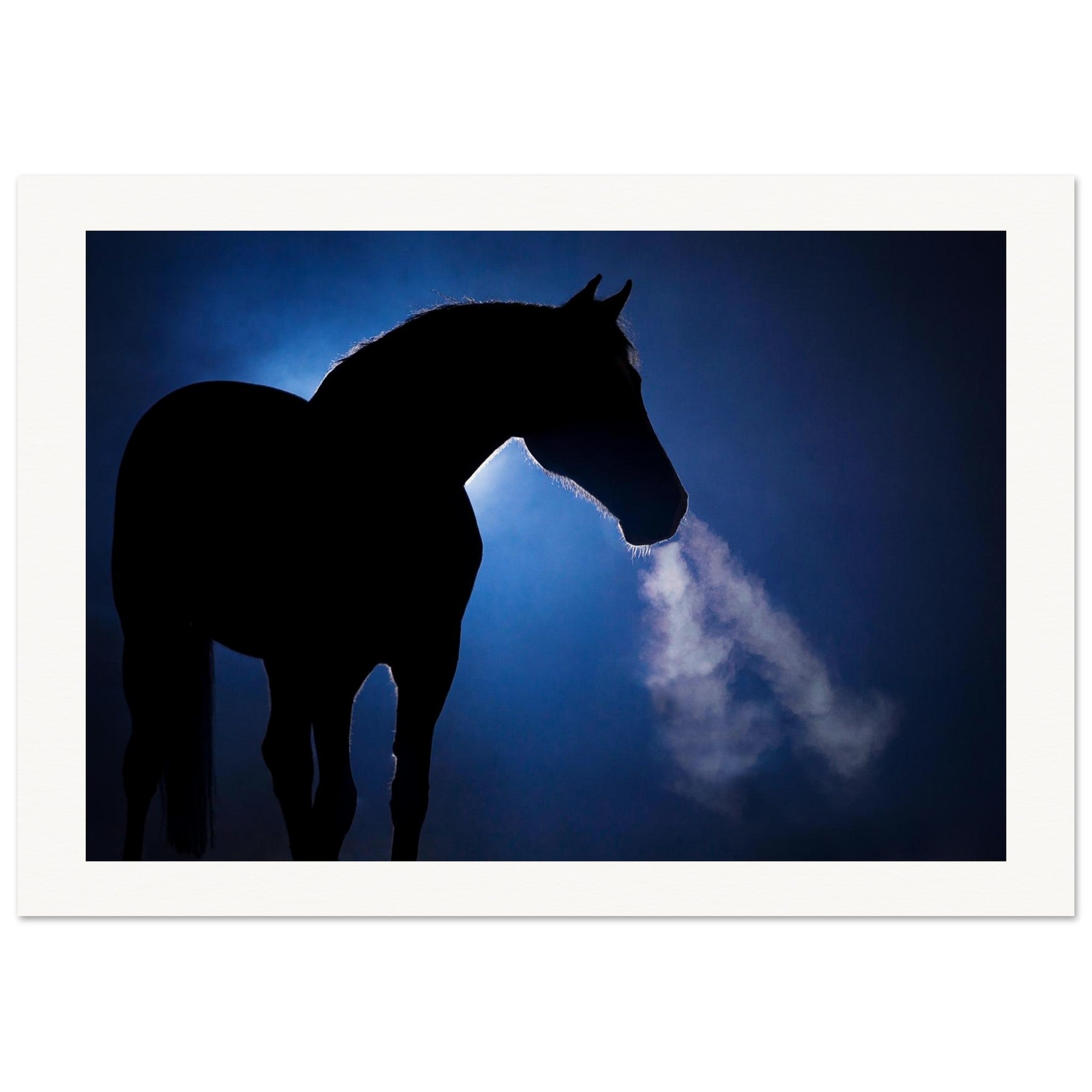 3db6d2b5-3847-4006-aa6c-e0b8e5dbe0ef