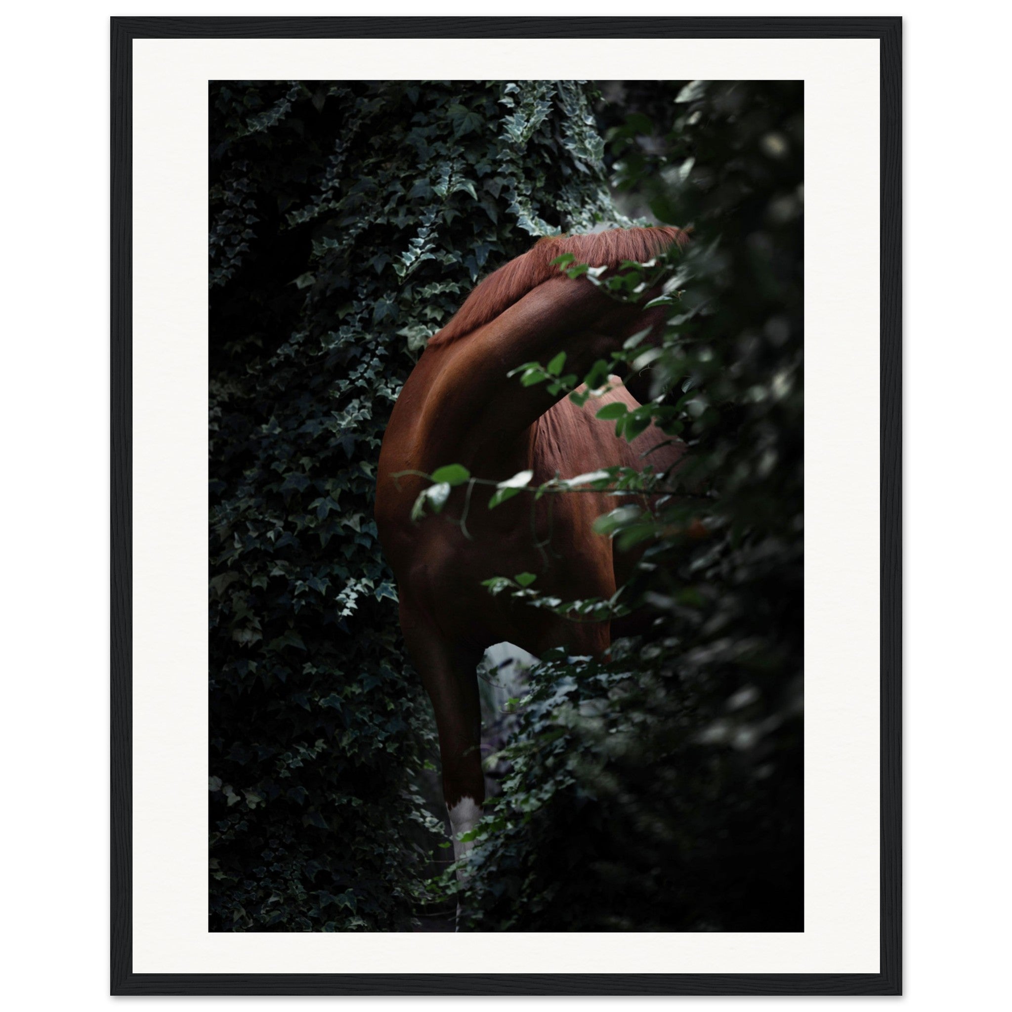 3dc799cf-402f-4e20-b169-0573daf3899f