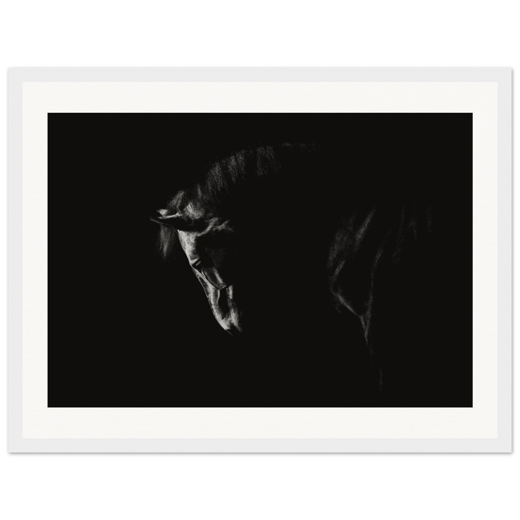 3dd6205e-ac58-4e9e-8625-acca67abc45d