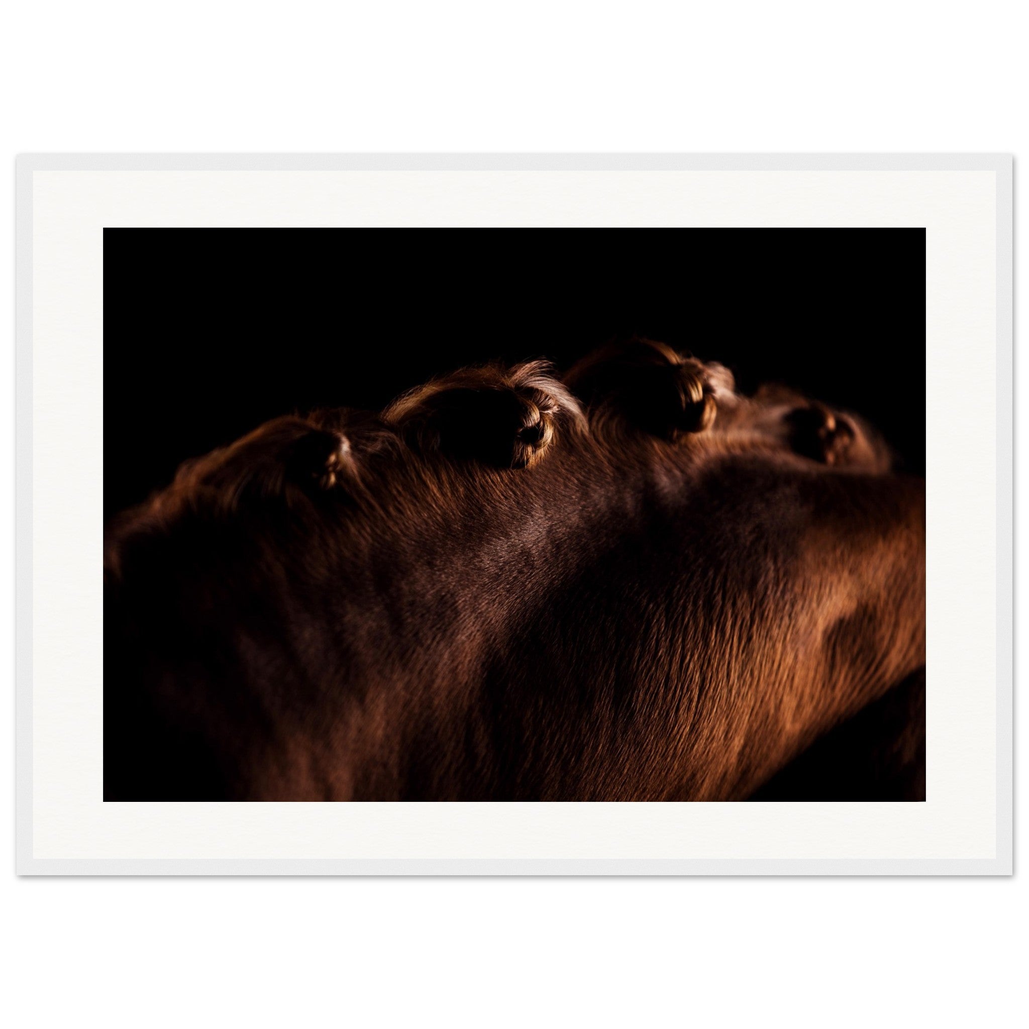 3de4363c-4718-4de2-a222-ed27641f4663