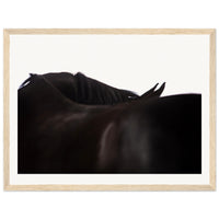 3df3d7ed-3ad7-439e-a85b-e52cace65330