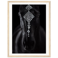 3df93641-798b-4f2c-ba12-f5c475957c31