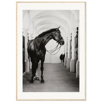 3e678ce6-f1fe-4433-98e4-7632ff461939