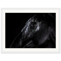 3e7d1de1-4d29-4593-b78f-d461983a01da