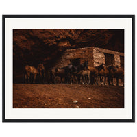 3ee65e91-3844-4882-9e49-8986da7686d3