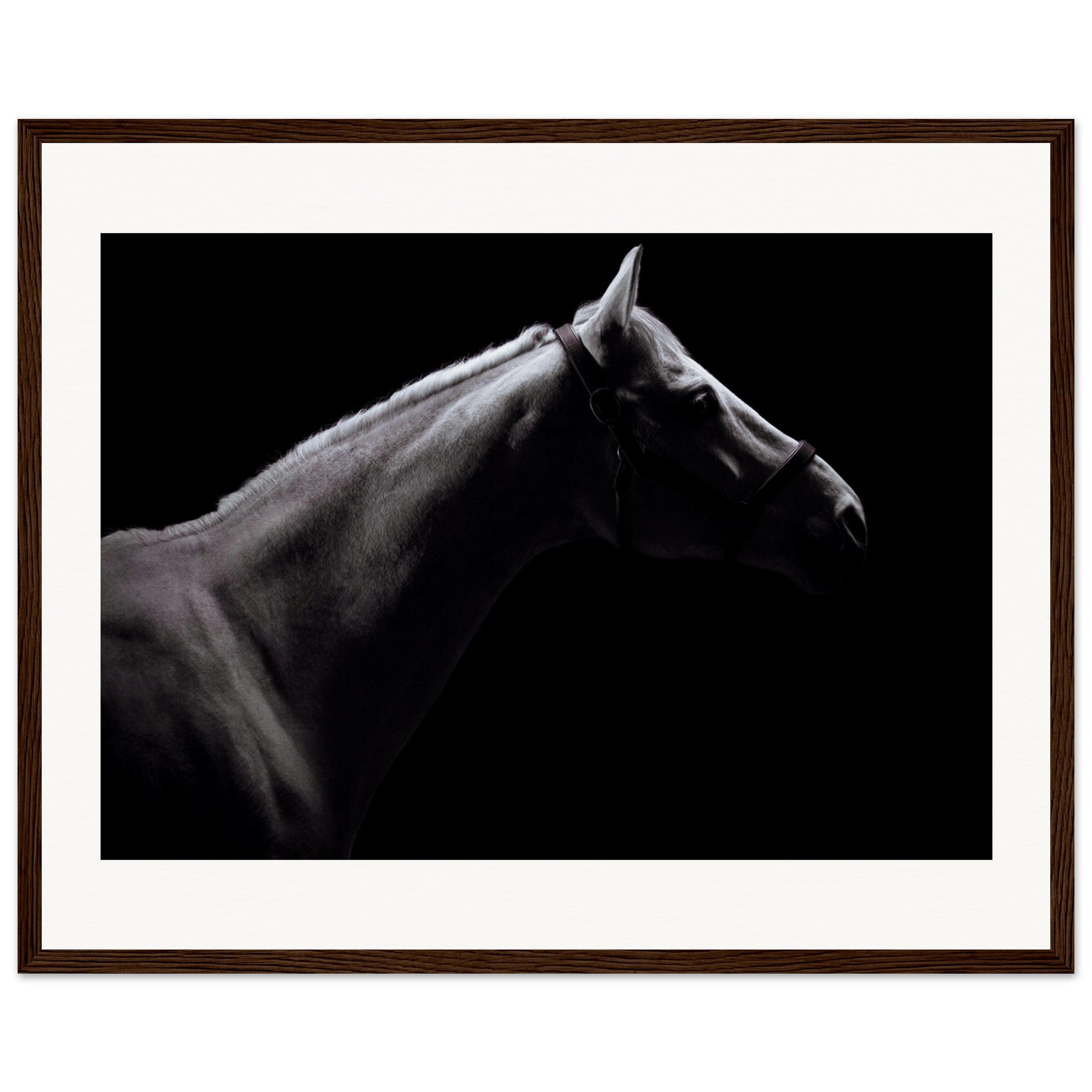 3ef4b3f0-78a0-4f1d-b55b-a34ecadc7520