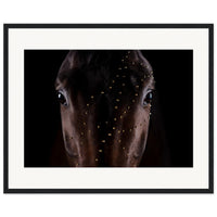 3f8f3e98-7ec6-4008-9a5c-11a9925cbe37