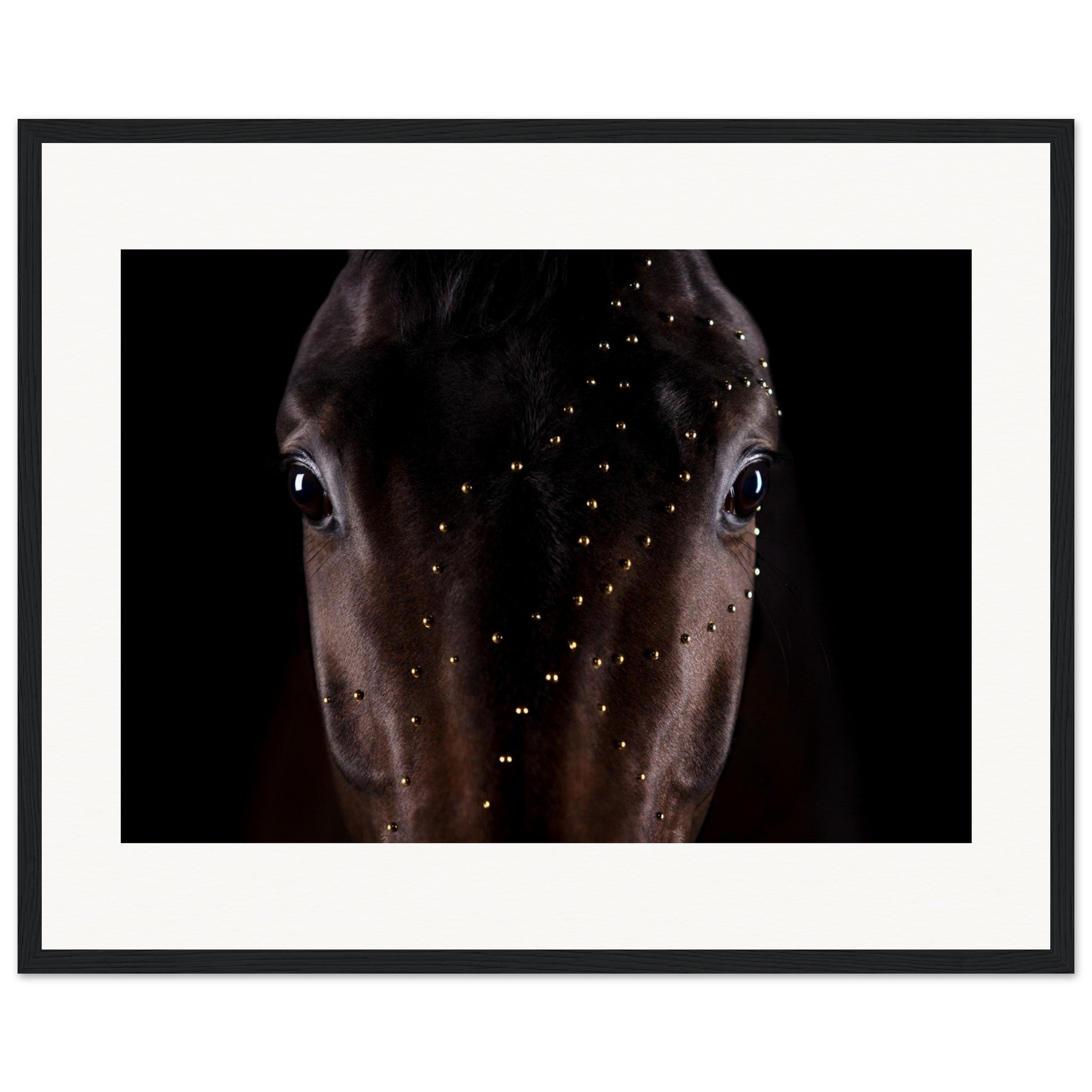 3f8f3e98-7ec6-4008-9a5c-11a9925cbe37