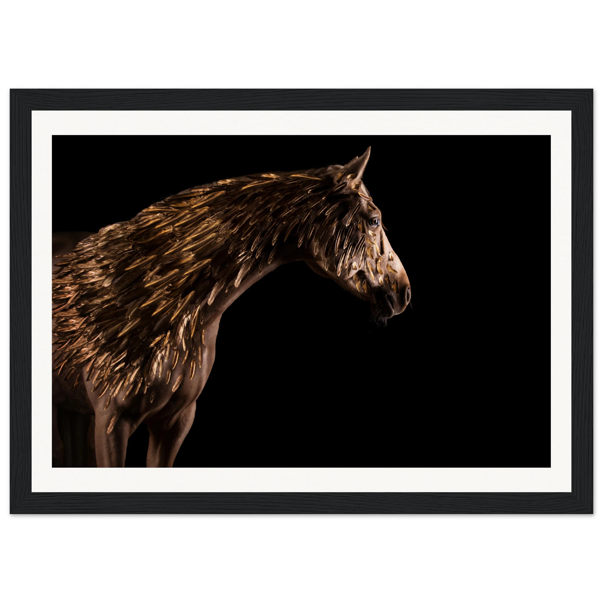 3ffa5675-cddb-4cfb-a678-d10fe0453e73