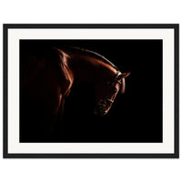 3ffbffda-5aaa-4711-b660-a37756393540