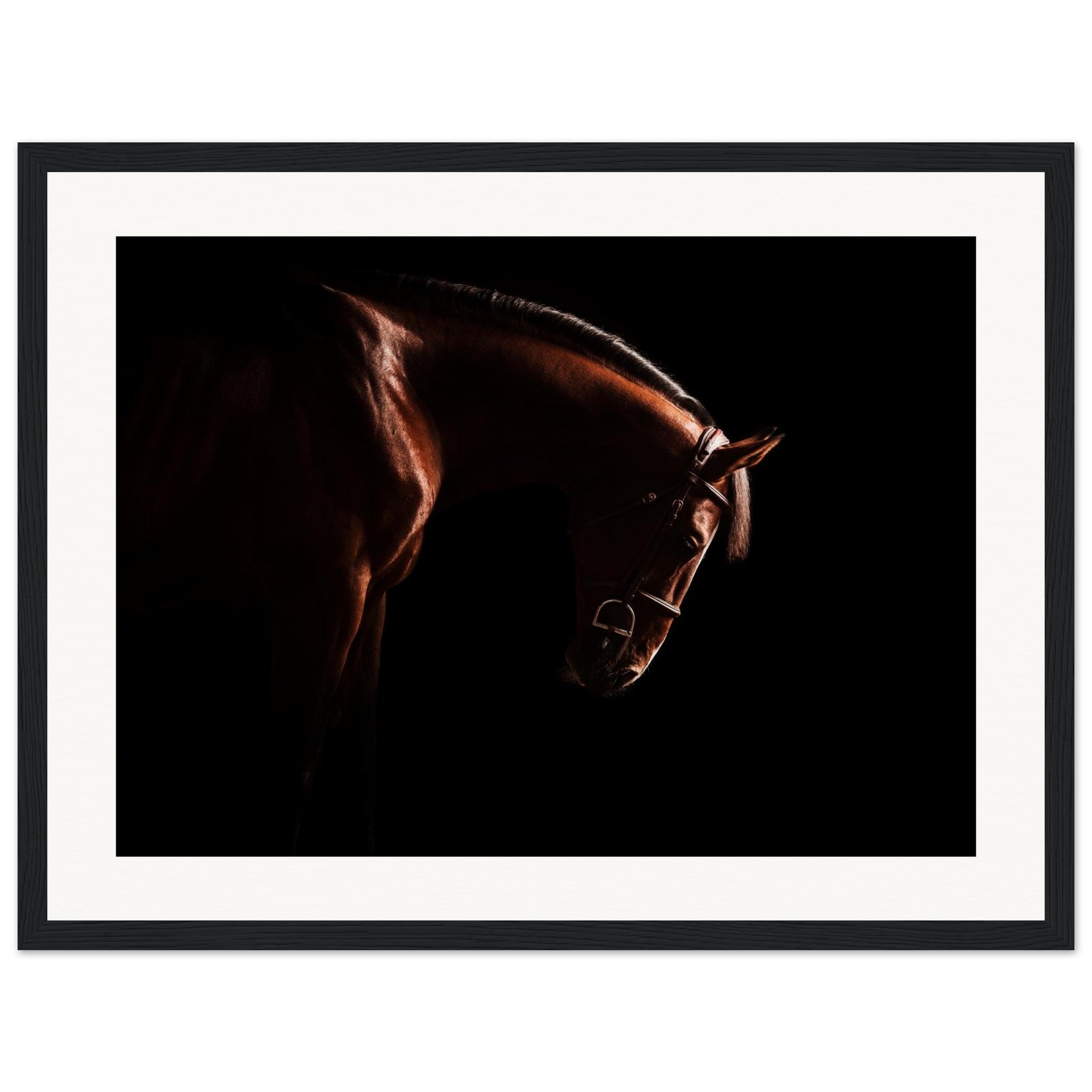 3ffbffda-5aaa-4711-b660-a37756393540